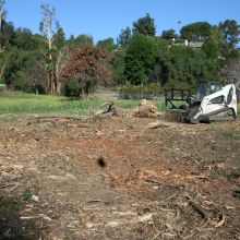 Image for Down to Earth Land Clearing Solutions, Inc with ID of: 1916694