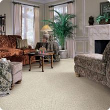 Image for Diamond Carpet Care with ID of: 1916927