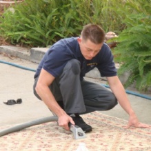 Image for Diamond Carpet Care with ID of: 1916928