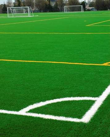 Image for Las Vegas Artificial Grass Pros with ID of: 1917348