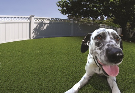 Image for Las Vegas Artificial Grass Pros with ID of: 1917350