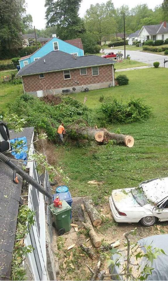 Image for SCS Tree Service with ID of: 1917625