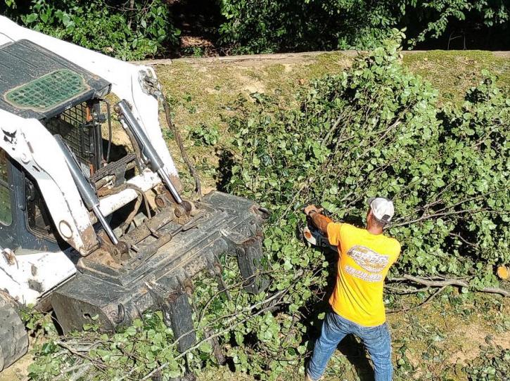 Image for SCS Tree Service with ID of: 1917626