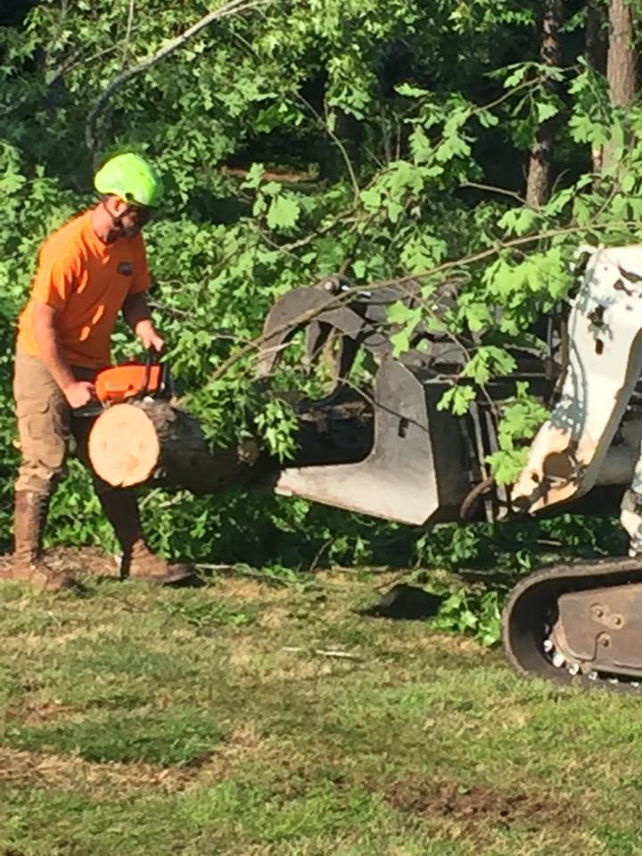 Image for SCS Tree Service with ID of: 1917628