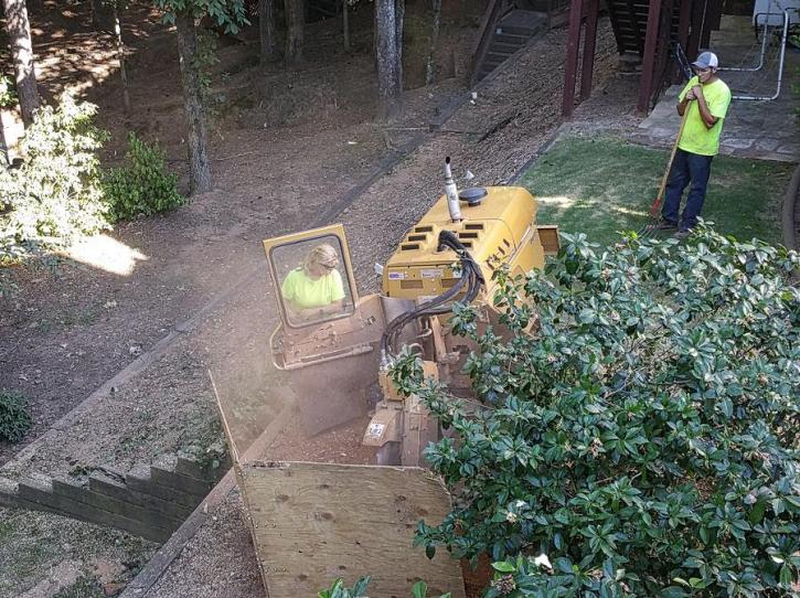Image for SCS Tree Service with ID of: 1917630
