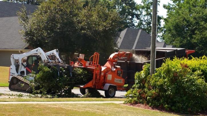 Image for SCS Tree Service with ID of: 1917631