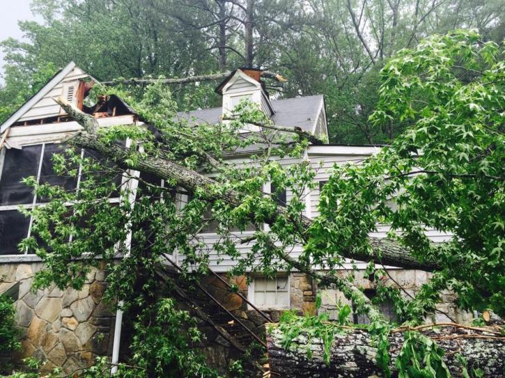 Image for SCS Tree Service with ID of: 1917632
