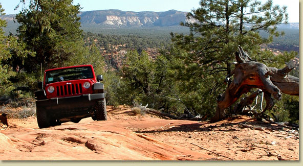 Image for Zion Jeep Guides with ID of: 1917954