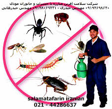 Image for Dante Tapp Pest Control Service with ID of: 1918321