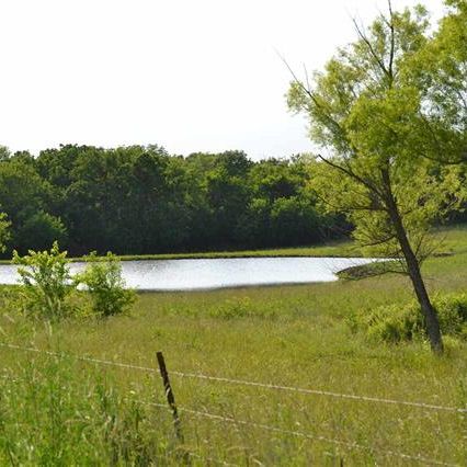 Image for Liberty Real Estate with ID of: 1918466