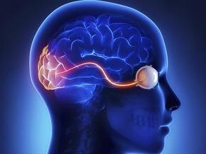 Image for Wireless Visual Cortical Stimulator Market - Global Industry Insights and Opportunity Analysis, 2016–2024 with ID of: 1919122