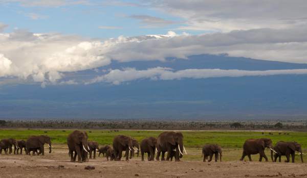 Image for African Sermon Safaris with ID of: 1921569