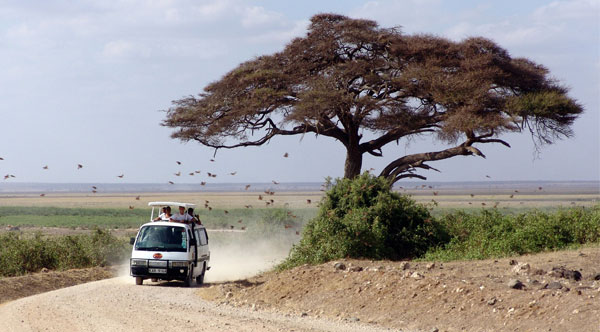 Image for African Sermon Safaris with ID of: 1921570