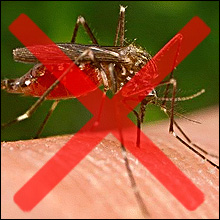 Image for Mosquito Control Guys with ID of: 1923258