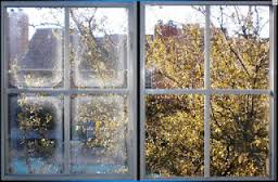 Image for Dual Pane Window Guys with ID of: 1923392