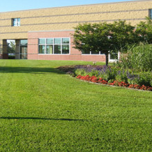 Image for Property Maintenance Leaders with ID of: 1925271