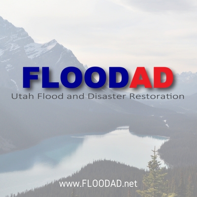 Image for FloodAD with ID of: 1926761
