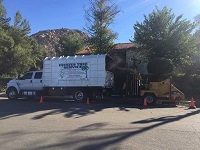 Image for Estates Tree Service with ID of: 1926897