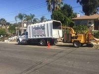 Image for Estates Tree Service with ID of: 1926913