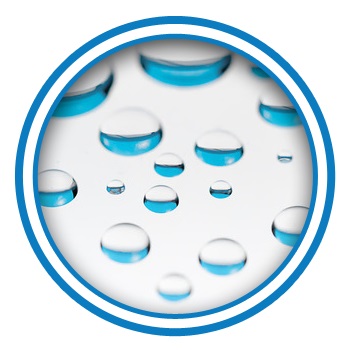 Image for Mold Testing & Inspection San Diego - Mold Removal & Remediation with ID of: 1927390
