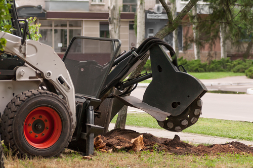 Image for Done Right Tree Service with ID of: 1927808