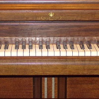 Image for Piano Forte with ID of: 1928154