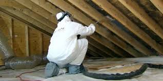 Image for Mold Removal Squad with ID of: 1929835