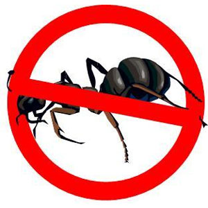 Image for Ant Control Guys with ID of: 1929951