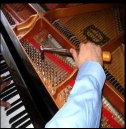 Image for Frisco Piano Tuner with ID of: 1930230