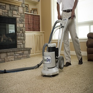 Image for Bartman Carpet Cleaning with ID of: 1930527