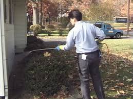 Image for Pest Control Workers with ID of: 1930787