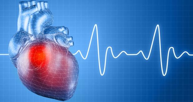 Image for top cardiologist in noida with ID of: 1930807