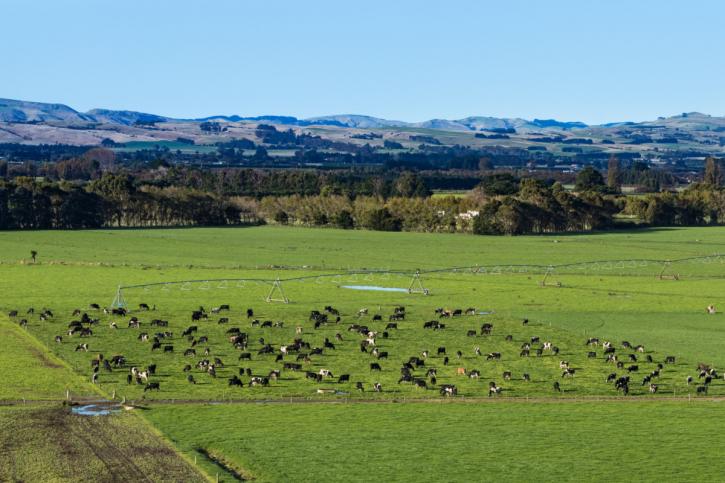 Image for Venture West Ranches with ID of: 1930870