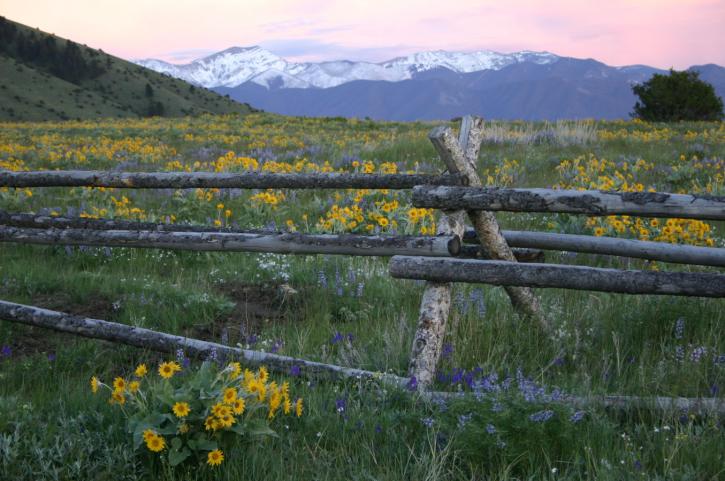 Image for Venture West Ranches with ID of: 1930871