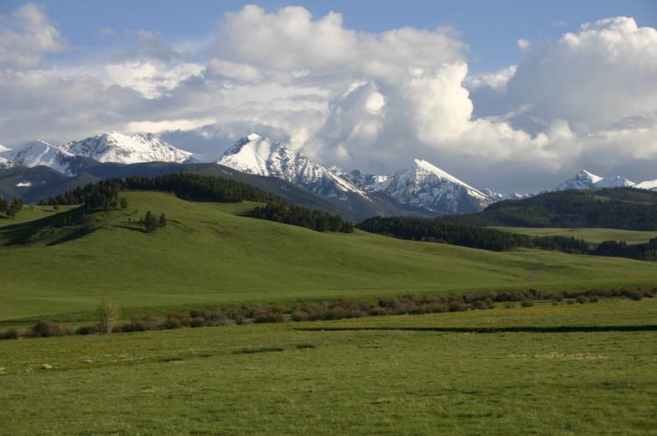 Image for Venture West Ranches with ID of: 1930873