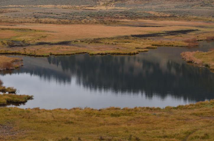 Image for Venture West Ranches with ID of: 1930877