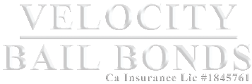 Image for Velocity Bail Bonds with ID of: 1931554