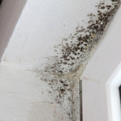 Image for State Wide Waterproofing with ID of: 1932832