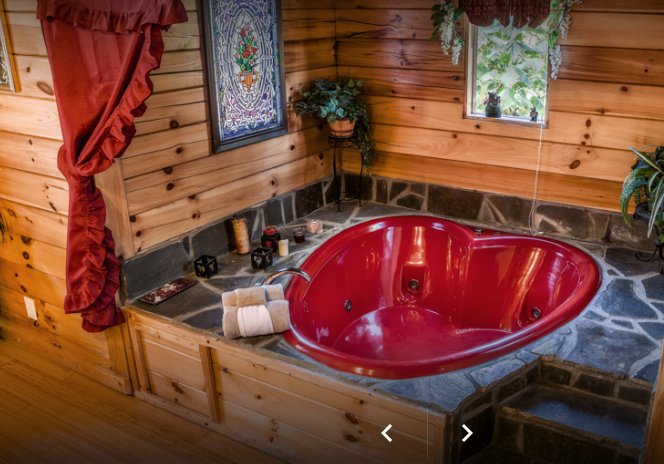 Image for Family Owned Cabins with ID of: 1932934