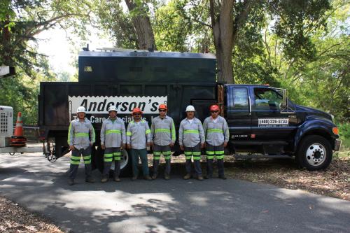 Image for Andersons Tree Care with ID of: 1935904