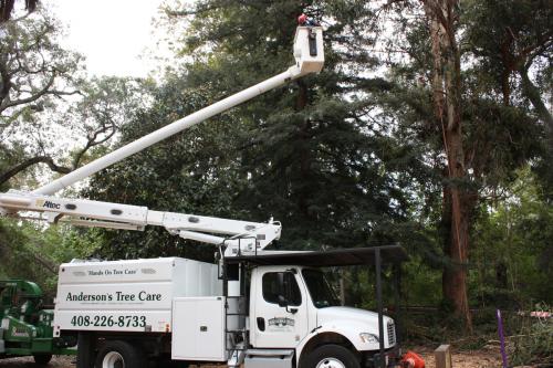 Image for Andersons Tree Care with ID of: 1935911