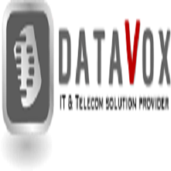 Image for DATAVOX L.L.C with ID of: 1936657