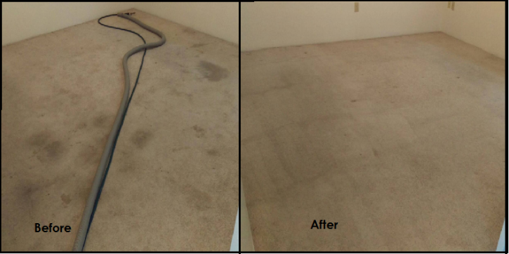 Image for The Carpet Machine with ID of: 1938287