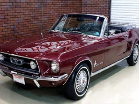 Image for Iconic Car Rentals with ID of: 1938590