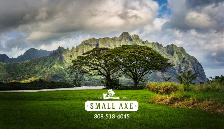 Image for Small Axe Tree Service Oahu with ID of: 1939172