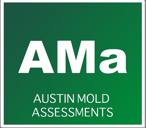 Image for Austin Mold Assessments with ID of: 1942299