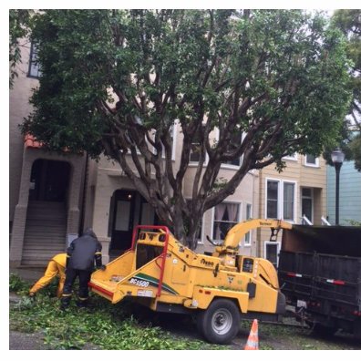 Image for Lorenzo's Tree Service with ID of: 1942730