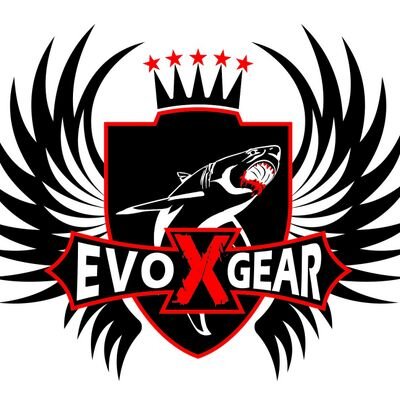 Image for Evoxgear with ID of: 1944105