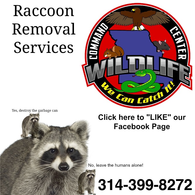 Image for Wildlife Command Center with ID of: 1944469
