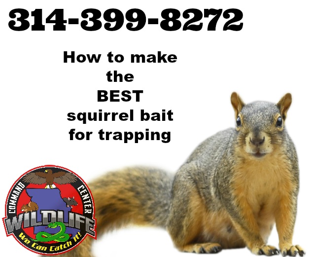 Image for Wildlife Command Center with ID of: 1944472